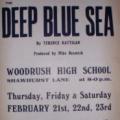 poster_deepbluesea
